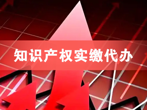 宜城知识产权实缴资本代办